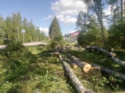 108262587_1034018796995987_215384448923873437_n