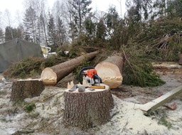 117444864_299382194677599_4533558183057604697_n